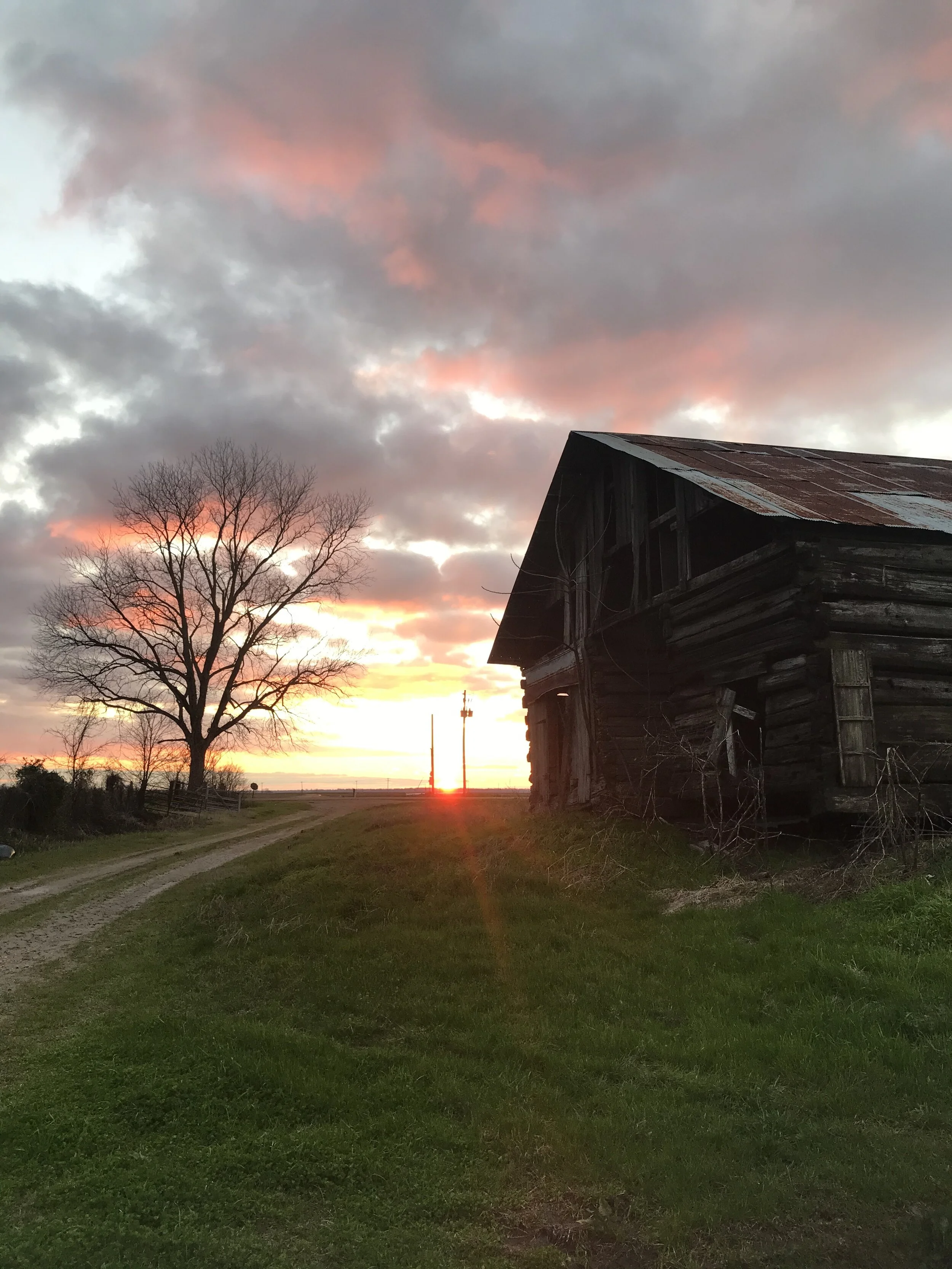 Watson — Mighty Roots Music Festival